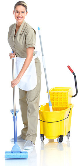 Cleaner Temizlik Firması Web Paketi