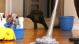 Ev Temizliğinde Hijyenin Önemi ve Doğru Yöntemler